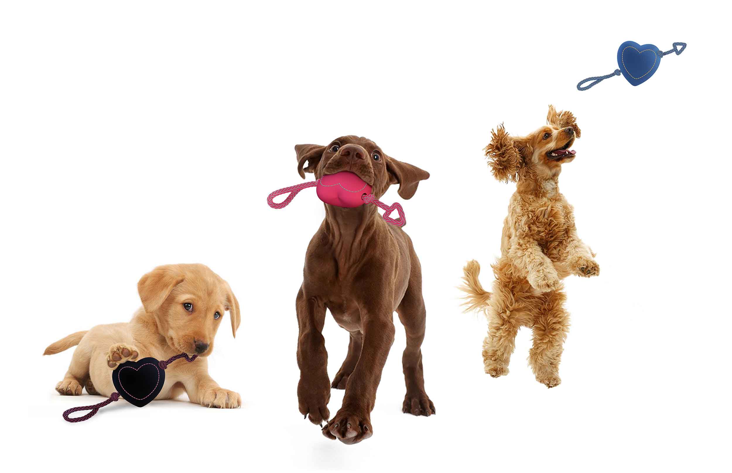 Freelance product designer Eefje Sandmann dog toy